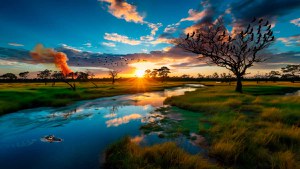 Resiliente, Pantanal busca recuperação em meio a incêndios e secas