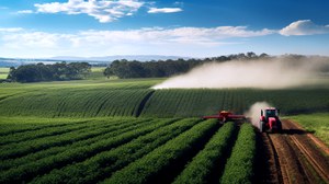 Avanço de monoculturas coloca Pampa em risco