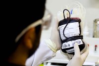 PEC do Plasma promete remédios; críticos veem risco em sangue como mercadoria
