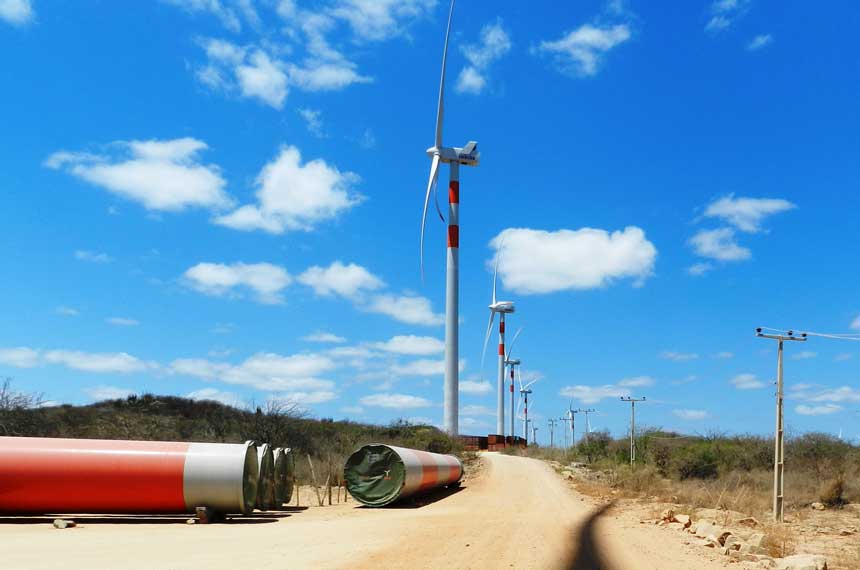 Instalação de turbinas eólicas na Caatinga também atinge habitat de animais