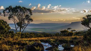 Berço das águas, Cerrado tem recursos hídricos pressionados pelo desmatamento