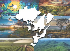 Biomas brasileiros são tema de série de reportagens especiais da Agência Senado