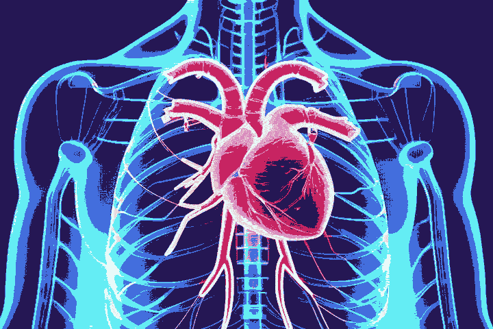 As novidades que prometem alavancar os transplantes no Brasil