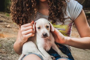 Brasil tem terceira maior população pet do mundo; veja os projetos do Senado sobre o assunto