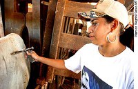 Simon e Cristovam sugerem audiência pública para discutir surto de febre aftosa