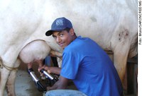 Alvaro Dias quer isenção de IPI para máquinas e insumos utilizados na produção de leite