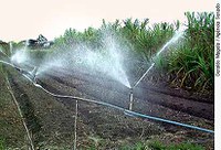 Projeto reduz cobrança por uso da água para propriedades rurais que realizarem "serviços ambientais"