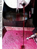 Projeto a ser votado na CRA classifica vinho como alimento