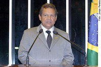 Mobilização do eleitorado contribui para consolidação da democracia, diz Quintanilha