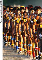 Proposta de Cristovam institui programa de preservação de idiomas indígenas