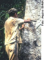 "Soldados da borracha" que recebem pensão vitalícia poderão ter abono anual