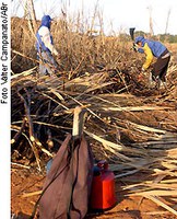 Subcomissão reúne-se para discutir mobilização contra trabalho escravo