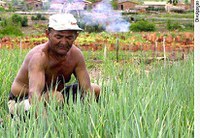 Proposta permite pagar em dinheiro desapropriações para a reforma agrária