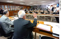 CCJ vota pena de oito a 30 anos de prisão para crimes praticados por grupo de extermínio