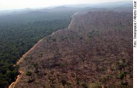 Comissões debatem compra de terras por estrangeiros na Amazônia