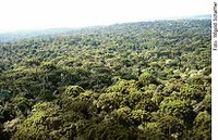 Congresso comemora Dia da Amazônia
