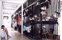 Condenados poderão reduzir pena pelo estudo