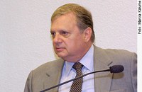 Controle de natalidade de cães e gatos tem apoio de 300 mil brasileiros