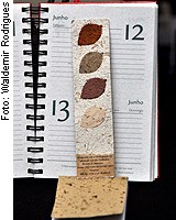 CMA vota imposto menor para empresas que reciclam