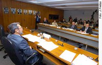 Agricultura aprova criação de política para incentivar cultivo do bambu