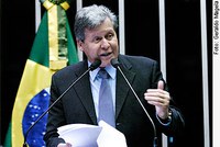 Arthur Virgílio discorda da proposta de extinção da raça 'pitbull'