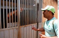 CAS analisa exigência de concurso para manter contratos de agentes de saúde