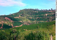 Novo código modifica critérios para proteção ambiental