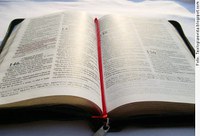 Senado comemora edição de cem milhões de Bíblias pela Sociedade Bíblica do Brasil