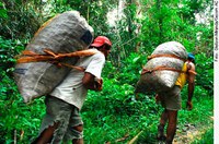Trabalho da natureza pode remunerar quem a preserva