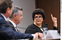 Para governo, novo Código Florestal induz desmatamento e compromete APP