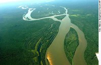 Comitês de Bacias querem manter proteção de APPs