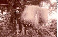 Senadores visitarão comunidades quilombolas no Rio Grande do Sul