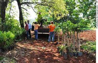 Agricultor poderá ter benefício progressivo para manter floresta