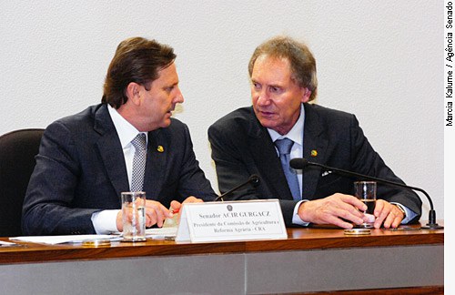 [Na mesa E/D:Presidente da CRA, senador Acir Gurgacz (PDT-RO); senador Casildo Maldaner (PMDB-SC).]