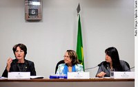 CPI mista que investiga violência contra a mulher aprova plano de trabalho