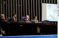 Voltada à saúde pública, Campanha da Fraternidade é celebrada no Senado