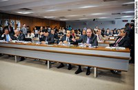 CPC poderá priorizar ações de guarda ou adoção de menores