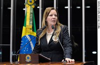 Vanessa Grazziotin pede manutenção da alíquota de ICMS da Zona Franca de Manaus