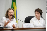 Para ministra, Convenção de Haia deve mudar em caso de disputa de filho com deficiência