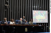 Senado homenageia luta contra discriminação racial