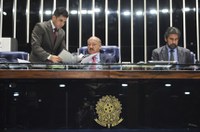 Plenário aprova requerimentos de tramitação conjunta