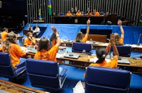 'Jovens senadores' aprovam projetos sobre assistência estudantil e educação integral