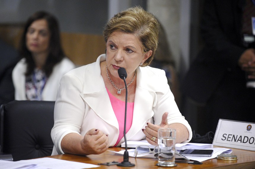 Em 25 de março, o parecer do relatora Lúcia Vânia (PSDB-GO) foi lido, mas foi concedida vista coletiva para que os parlamentares tivessem tempo extra para analisar a proposta