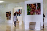 Inaugurada exposição sobre povos indígenas no Salão Branco
