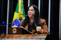 Rose de Freitas pede atenção do governo para crise energética e hídrica