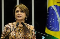 Ângela Portela defende financiamento público de campanhas eleitorais