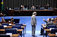 Plenário aprova embaixadores para Tanzânia e São Vicente