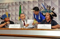 PEC 215 ameaça comunidades indígenas e quilombolas, dizem debatedores