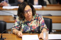 Lídice da Mata defende mais incentivos à cultura ao avaliar políticas públicas