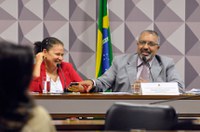 Em balanço do ano na CDH, Paim anuncia que continua luta contra terceirização